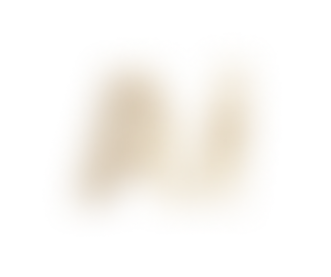 blurredAI